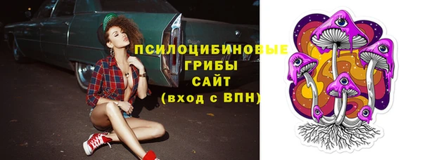 ешки Горнозаводск