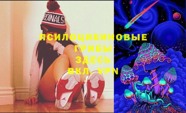 тгк Горняк