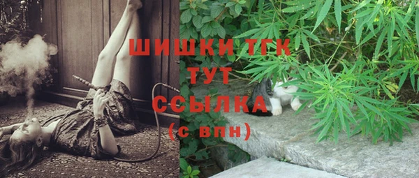 ешки Горнозаводск